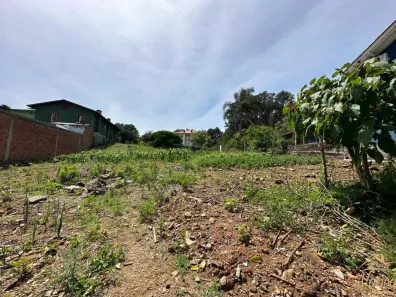Lote/Terreno à venda, 968m² no Nova Petrópolis, Nova Petrópolis