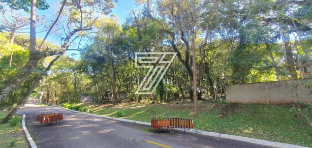 Lote/Terreno à venda, 4400m² no Planta O Recanto, Piraquara