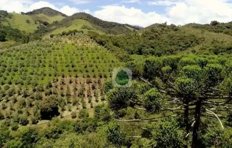 Fazenda/Sítio à venda, 820000m² no Caquende, Delfim Moreira