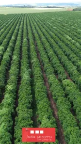 Fazenda/Sítio à venda, 4700000m² no Centro, Patos de Minas