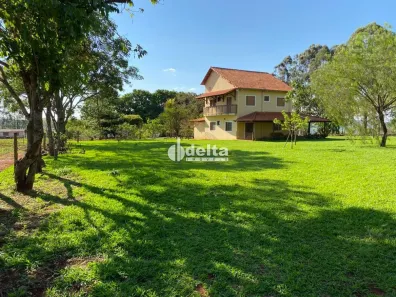 Fazenda/Sítio com 3 Quartos à venda, 140m² no Área Rural de Uberlândia, Uberlândia