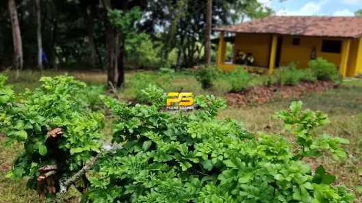 Fazenda/Sítio com 2 Quartos à venda, 170000m² no Gurugi, Conde