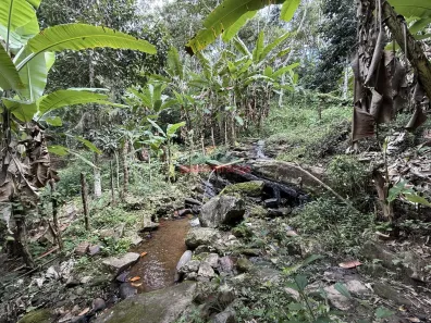 Fazenda/Sítio com 6 Quartos à venda, 30000m² no Santa Ana, Pacoti