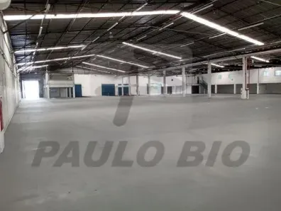 Galpão/Depósito/Armazém para alugar, 11000m² no Vila Ribeiro de Barros, São Paulo