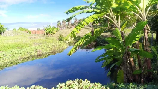 Lote/Terreno à venda, 1279m² no Taiba, São Gonçalo do Amarante
