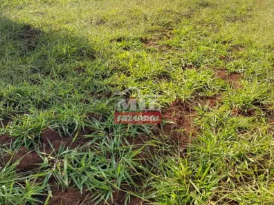 Fazenda/Sítio à venda, 500m² no , Abadiânia