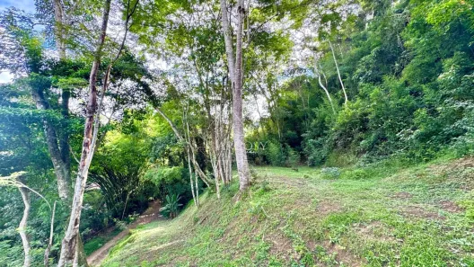 Lote/Terreno à venda, 1540m² no Itaipava, Petrópolis
