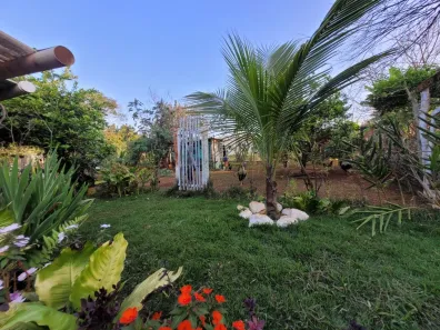 Fazenda/Sítio com 2 Quartos à venda, 70m² no Cafezal, Londrina