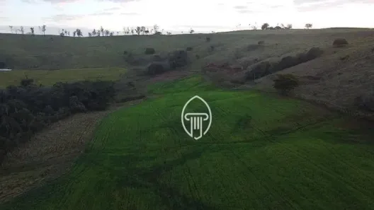 Fazenda/Sítio à venda, 774400m² no Rural, Sertanópolis