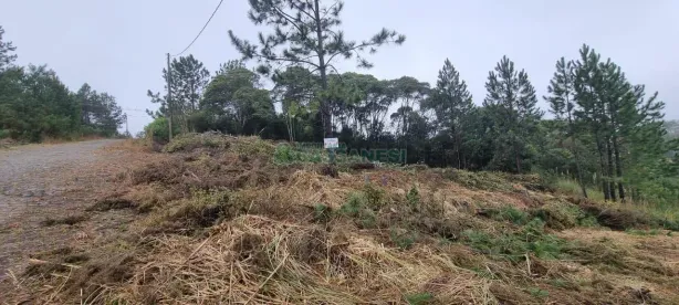 Lote/Terreno à venda, 300m² no Ana Rech, Caxias do Sul
