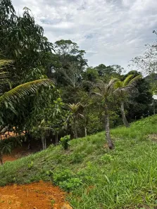 Lote/Terreno à venda, 20000m² no Área Rural de Cachoeiras de Macacu, Cachoeiras de Macacu
