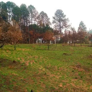 Fazenda/Sítio com 3 Quartos à venda, 141481m² no City Castello, Itu