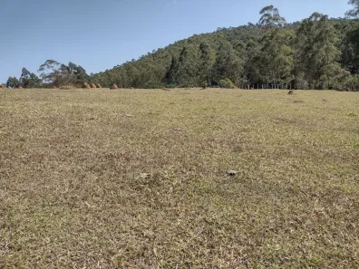 Fazenda/Sítio com 2 Quartos à venda, 100m² no São Luiz do Paraitinga, São Luiz do Paraitinga