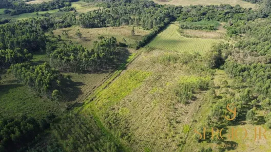 Fazenda/Sítio à venda, 108000000m² no , Triunfo