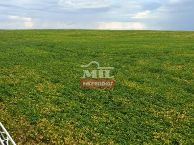 Fazenda/Sítio à venda, 411m² no , Novo Acordo