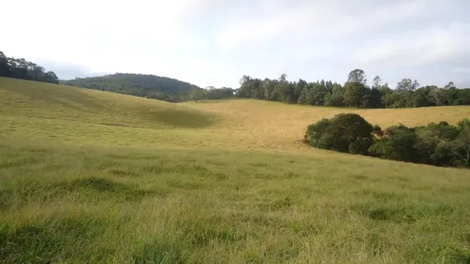 Fazenda/Sítio com 3 Quartos à venda, 181500m² no Jardim Leonor, Itatiba