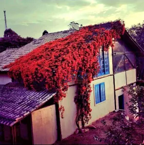 Casa de Condomínio com 3 Quartos à venda, 437m² no Portal Roselândia, Cotia