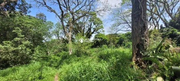 Fazenda/Sítio com 1 Quarto à venda, 36800m² no São Caetano, Porto Alegre