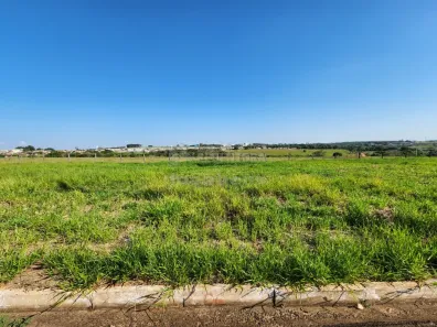 Lote/Terreno à venda, 242m² no Jardim Holambra, Cedral