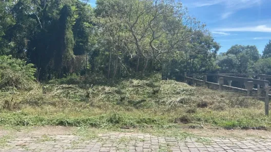 Lote/Terreno à venda, 744m² no Salgado Filho, Caxias do Sul