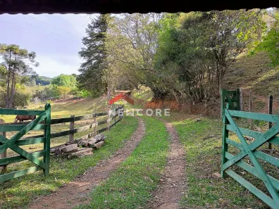 Fazenda/Sítio com 3 Quartos à venda, 280m² no , Cunha