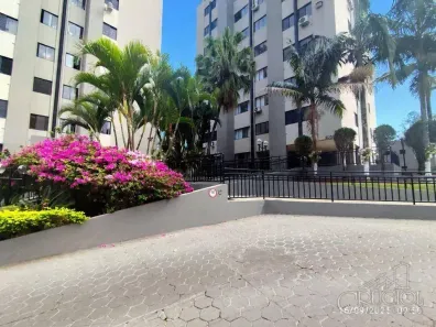 Apartamento com 3 Quartos para venda ou aluguel, 55m² no Parque Residencial Alcântara, Londrina