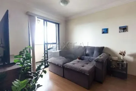 Apartamento com 3 Quartos para alugar, 66m² no Parque Mandaqui, São Paulo