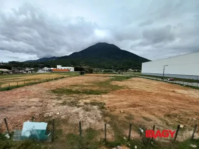 Lote/Terreno para alugar, 3645m² no Furadinho, Palhoça