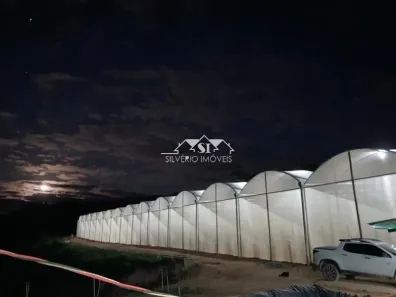 Fazenda/Sítio com 1 Quarto à venda, 6000m² no , São José do Vale do Rio Preto