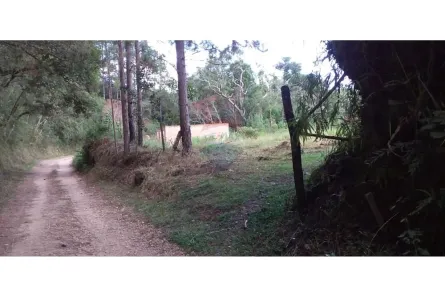 Lote/Terreno à venda, 1000m² no Colônia Rodrigo Silva, Barbacena
