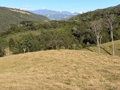 Fazenda/Sítio à venda, 20000m² no , Rancho Queimado