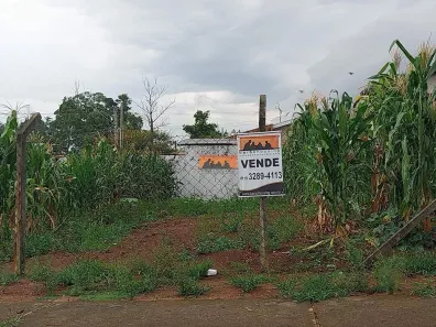 Lote/Terreno à venda, 282m² no Residencial Vitória Ropole (Barão Geraldo), Campinas
