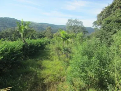 Fazenda/Sítio à venda, 48300m² no Cocais, Itatiba