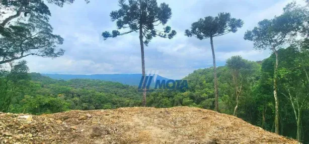 Fazenda/Sítio à venda, 28979m² no Área Rural de Campo Largo, Campo Largo