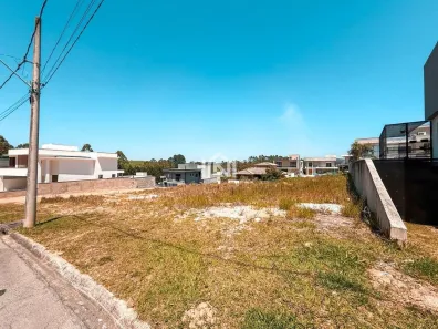 Lote/Terreno à venda, 416m² no Parque Dom Henrique, Cotia