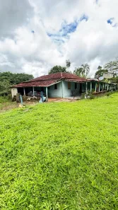 Fazenda/Sítio com 3 Quartos à venda, 242000m² no , Petrolina de Goiás