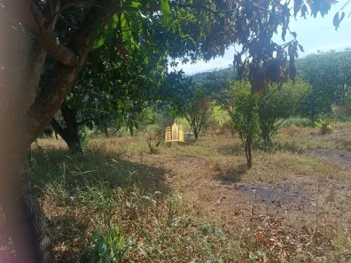 Fazenda/Sítio com 6 Quartos à venda, 5000m² no Condomínio Lago Azul, Sete Lagoas