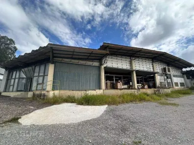 Galpão/Depósito/Armazém à venda, 6000m² no Jardim da Glória, Cotia
