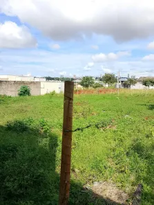 Lote/Terreno à venda, 300m² no Residencial Flor do Cerrado, Anápolis