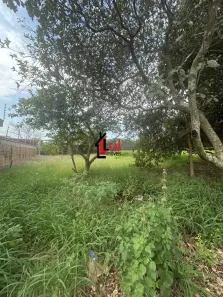 Lote/Terreno à venda, 420m² no Parque Residencial Funada, Presidente Prudente