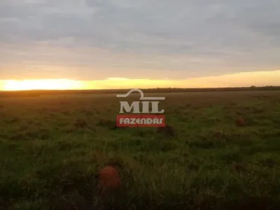 Fazenda/Sítio à venda, 500m² no , Araguapaz