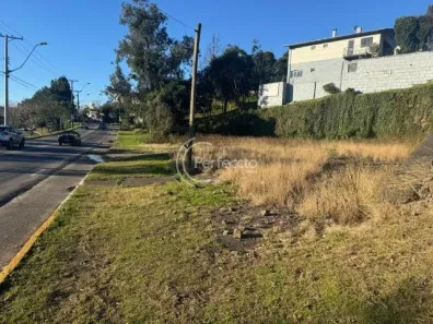 Lote/Terreno para alugar, 740m² no Sagrada Família, Caxias do Sul
