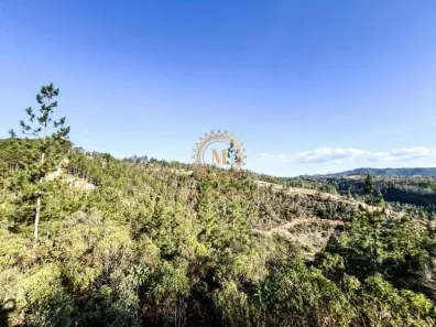 Lote/Terreno à venda, 30000m² no , Domingos Martins