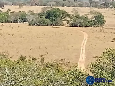 Fazenda/Sítio com 3 Quartos à venda, 38m² no Planalto, Perolândia