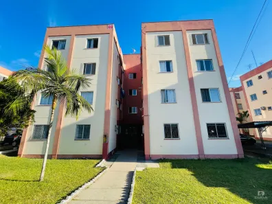 Apartamento com 3 Quartos para alugar, 52m² no Maria Céu, Criciúma