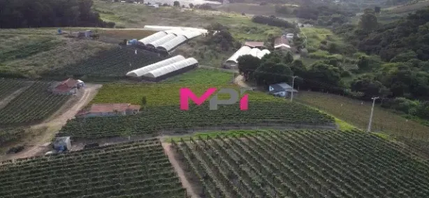 Lote/Terreno à venda, 60000m² no Região Metropolitana de Jundiaí, Louveira