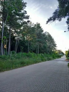 Lote/Terreno à venda, 292m² no Campestre, São Leopoldo