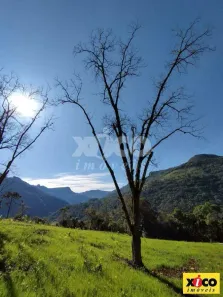 Fazenda/Sítio com 1 Quarto à venda, 5000m² no , Nova Petrópolis