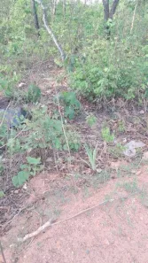 Lote/Terreno à venda, 8m² no Bom Sucesso, Várzea Grande