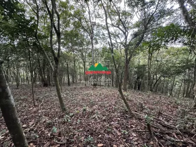Lote/Terreno à venda, 10000m² no , Mulungu